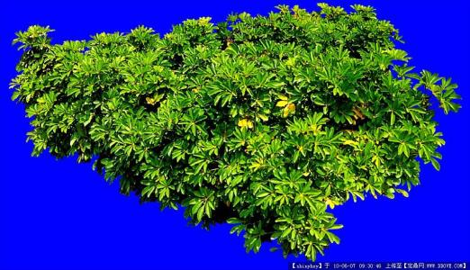 ɽһС5δůνģ31չů